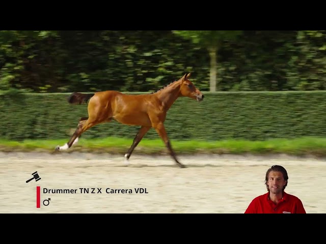 What a Wampie van den Astwijk