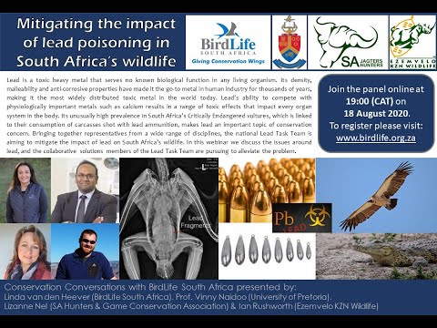 Conservation Conversations: Lead Task Team - The impacts of lead on wildlife (18 Aug 2020)