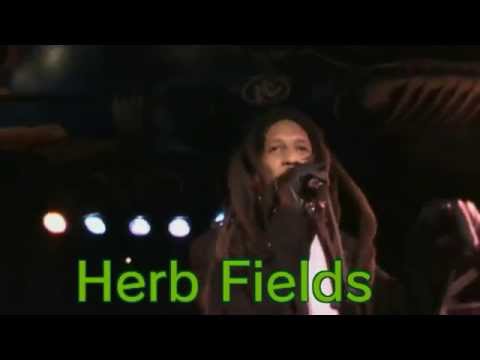 Rootz Underground Herb Fields
