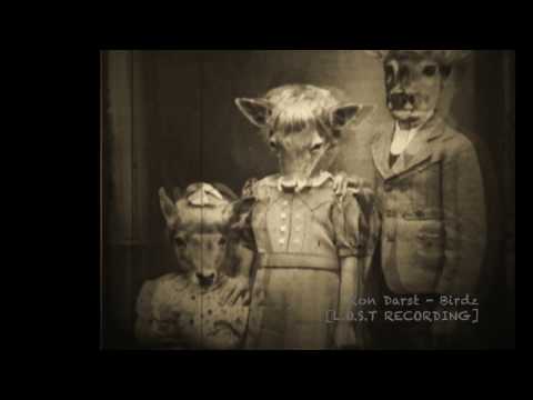 Ron Darst - Birdz [L.O.S.T Recording]