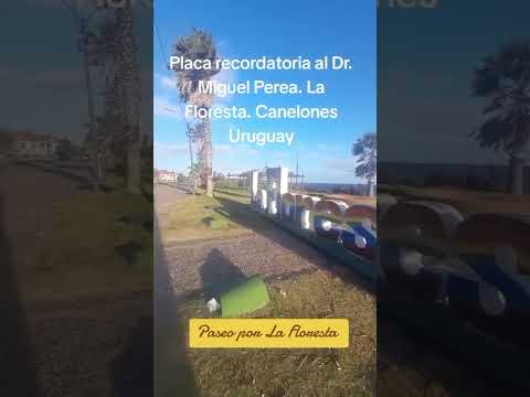 La Floresta Canelones