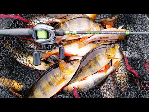 NARRATAAN AHVENIA? AHVENEN PYYNNISSÄ TUMMILLA VESILLÄ