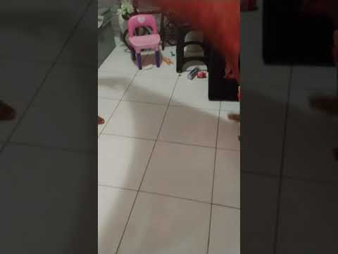 Bolha gigante de slime, feita por mim