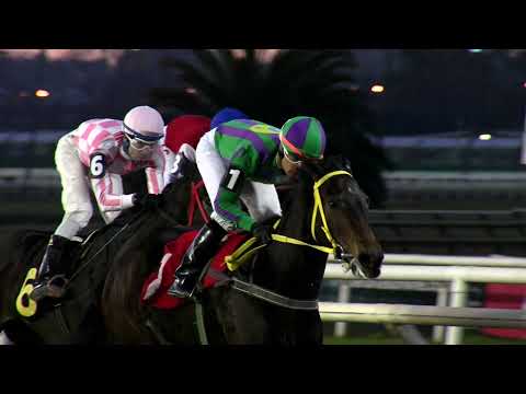 220618 c11 ALTA GAMA