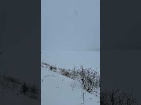 Snow is starting an Sturgeon Lake