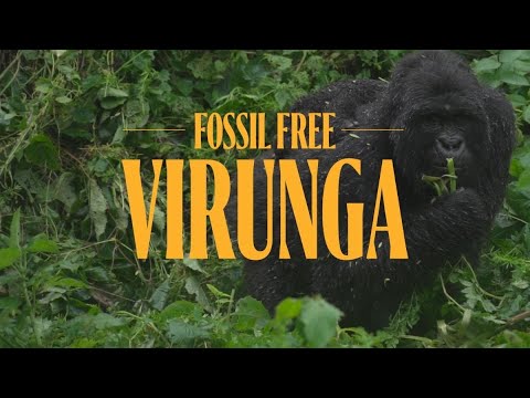 Frontier Africa Reports