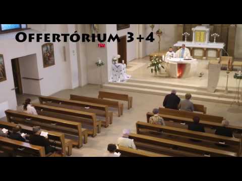 JKS 345 - Matka lásky a milosti