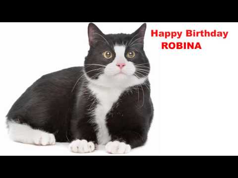 Robina  Cats Gatos - Happy Birthday