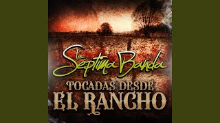 Sufro Porque Te Quiero