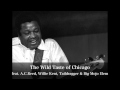 The Wild Taste Of Chicago - A.C.Reed, Willie Kent, Taildragger & Big Mojo Elem