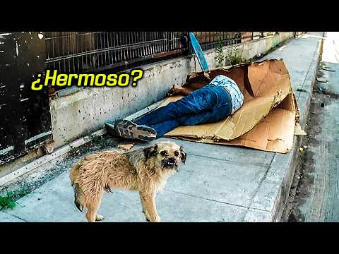 La FEA REALIDAD de Departamental Antiguo | Pedro Aguirre Cerda