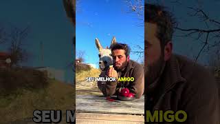 Ele só queria dividir a maçã com seu melhor amigo