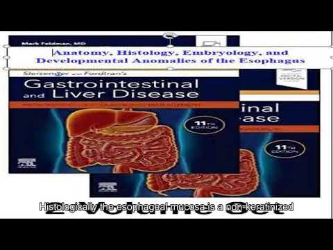 43-   Anatomy, Histology, Embryology (Phụ đề Anh)