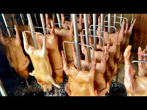 Amazing roasted skills! Barbacue suckling pig, 200 piglets sold per day - Thai Street Food