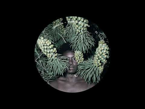 Cressida - What Are You Like [VOI015]