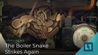 Level1 News November 16 2018: The Boiler Snake Strikes Again