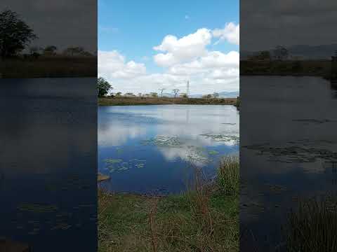 olha esse belíssimo açude no município de Agrestina Pernambuco