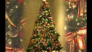 All I Want For Christmas Is You by Billy Paul Williams