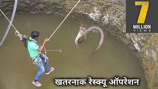 कुएं में गिरा कोबरा सांप, खतरनाक कोबरा रेस्क्यू ऑपरेशन | Dangerous Cobra Snake Rescue Operation
