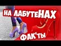 НА ЛАБУТЕНАХ!!!! ФАКТЫ ПРО ЛАБУТЕНЫ И КЛИП (Ленинград ...