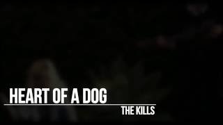 The Kills - Heart of a Dog - Subtitulada En Español