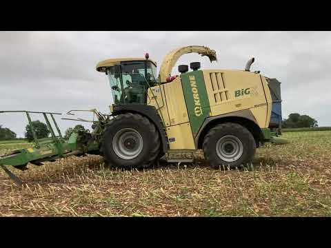 Krone Big X 1100 Forage Harvester - Maize Silage 2021