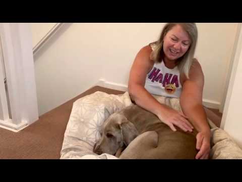 Tové Kane 08/40, Day 8 of the 40 Day Laughter for one Minute Challenge