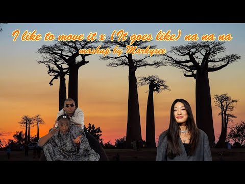 Reel 2 Real ft. Peggy Gou - I like to move it x (It goes like) na na na (mashup by Markyxee)