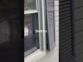 How to replace the shutters window shutters tips ￼