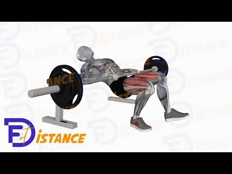 Exercice Hip Thrust à la barre en unilatéral