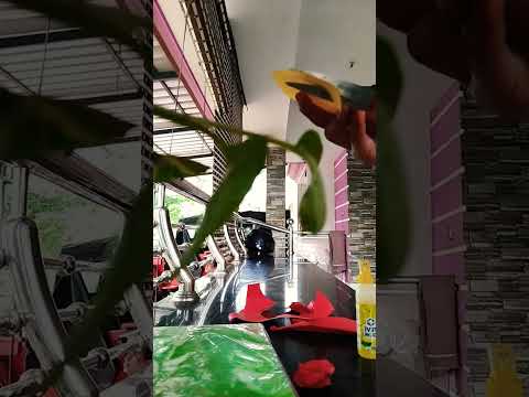 simple flower craft #music #cover #love