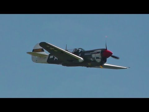 Curtiss P-40N Kittyhawk - Display Degerfeld 2016