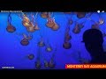 Monterey Bay Aquarium Ticket Discount Costco