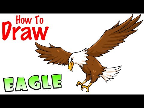 How to Draw an Eagle - YouTube