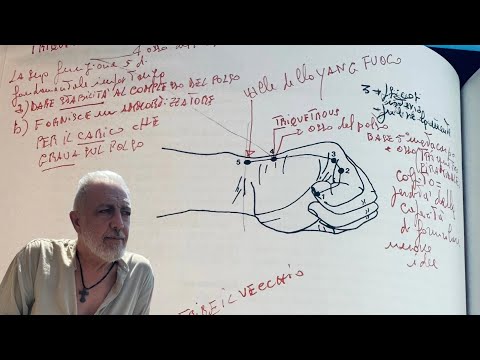 Meridiano dell’Intestino Tenue Psicochirologia Leggimi la mano Dott.Enrico Pallocca