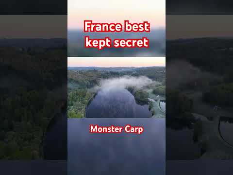 Big carp - France’s best kept secret #carpfishing #fishing