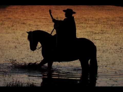 Um  Bagual Corcoveador