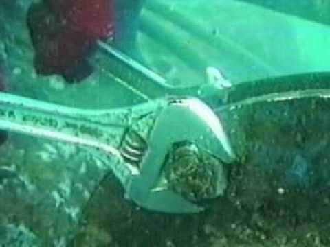 商业潜水员 - 职业简介