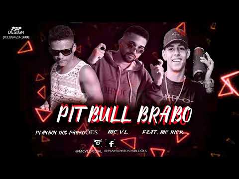MC VL E PLAYBOY DOS PAREDÕES FEAT MC RICK | PIT BULL BRABO.