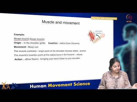 Muscles and movement
