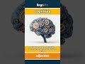 cognitive (adjective) - definition and usage in English