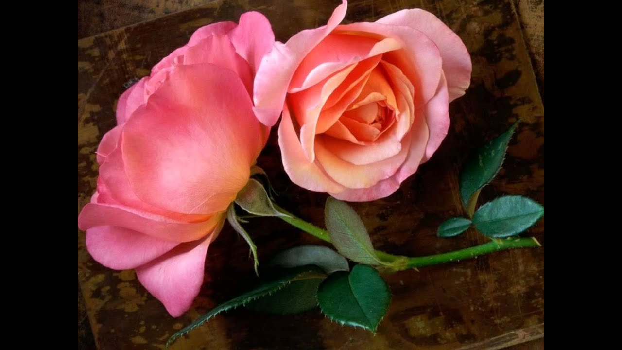 Yaar Bin Jee Nahi Lyrics | Jaadu | Kumar Sanu | Nadeem Shravan