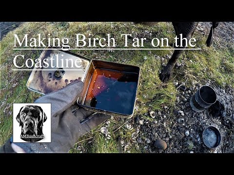 Making Birch Bark Oil. Birch Tar. Russian Oil. How To Make Birch Oil. Scotland.