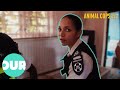 Wildlife Cops Raid Black Market Vet Animal Cops South Africa Ep8 Our World
