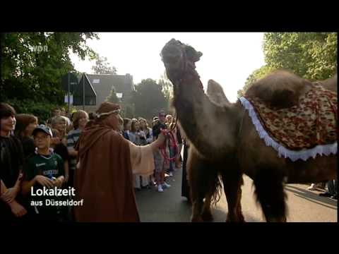 arABIan nights Abistreich 2009 des AMG Viersen-Dülkens
