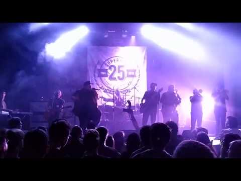 Superhiks - Shaban Shaolin (Live MKC 2019)