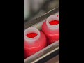 Watch Us Make Red Paint Paint Red Crayola Factory Art Craft Shorts Creative Artsupplies