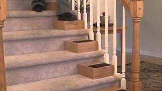 Stair Aid -- Climb your stairs again