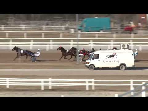 2022.03.12. 04. futam - IVORY BOY HENDIKEP