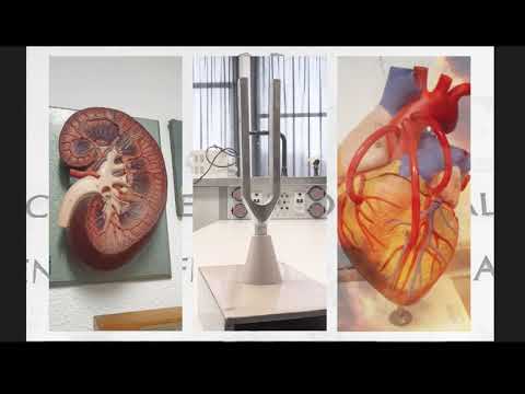 Il Liceo Scientifico Statale Enrico Fermi di Massa